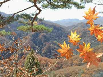 草遛社区2015最新地址——探索城市新角落的魅力和活力