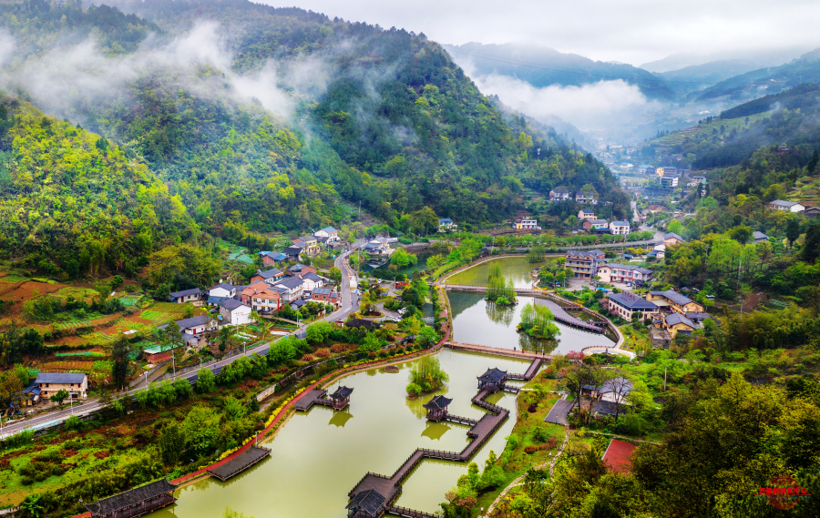 转枝莲村最新消息，繁荣与发展中的乡村新面貌